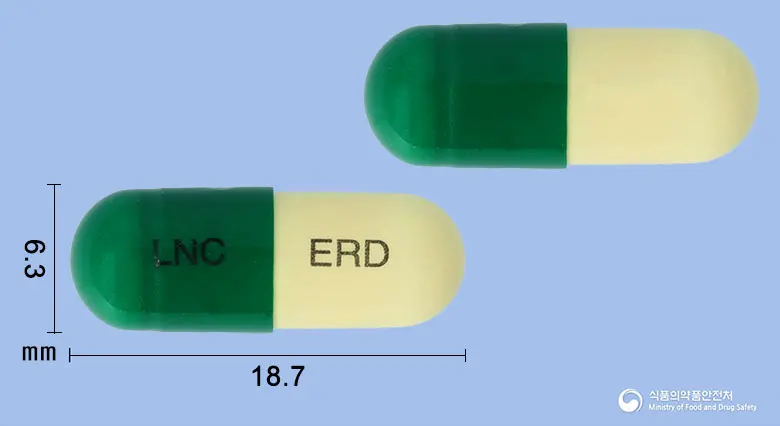 엘도스텐캡슐(에르도스테인) 앞뒤 사진 (초록색 캡슐, 각인 LNC ERD)