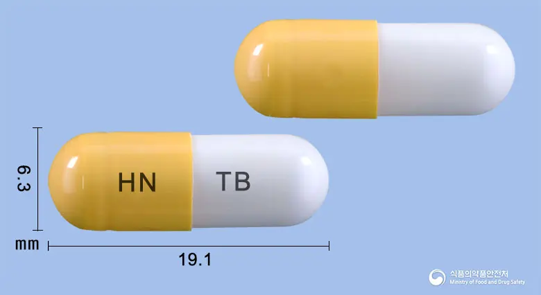 앤코프로캡슐(테오브로민) 앞뒤 사진 (갈색 캡슐, 각인 HN TB)