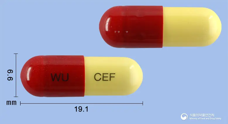 위더세프캡슐(세파드록실수화물) 앞뒤 사진 (빨간색 캡슐, 각인 WU CEF)