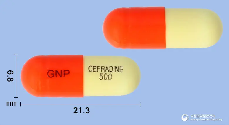 세프칼캡슐(세프라딘수화물) 앞뒤 사진 (주황색 캡슐, 각인 GNP CEFRADINE 500)