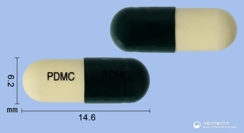 판다모캡슐 앞뒤 사진 (초록색 캡슐, 각인 PDMC PDMC)