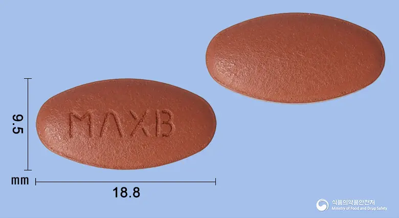 파워맥스비정 앞뒤 사진 (갈색 타원형, 각인 MΛXB)