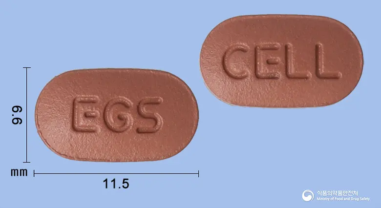 징코짱정120밀리그램(은행엽건조엑스) 앞뒤 사진 (빨간색 타원형, 각인 EGS / CELL)