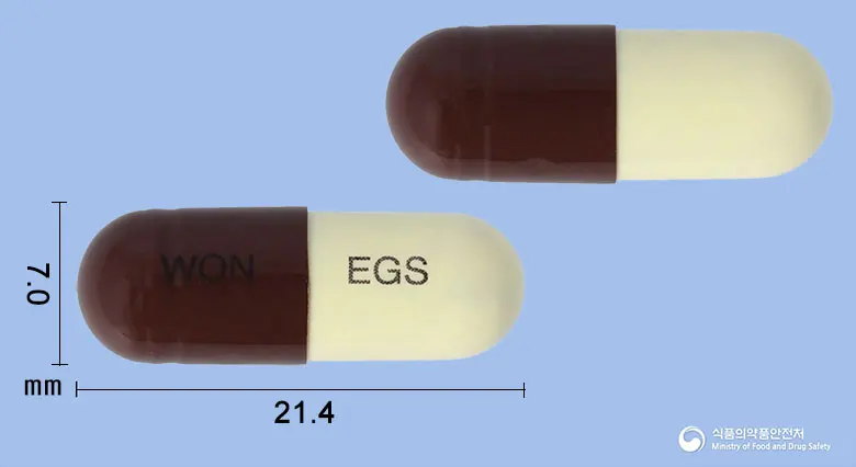 원광은교산캡슐 앞뒤 사진 (갈색 캡슐, 각인 WON EGS)