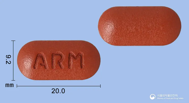 현대아라미정 앞뒤 사진 (갈색 장방형, 각인 ARM)
