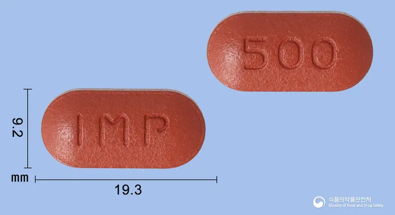 마그텐션정 앞뒤 사진 (갈색 장방형, 각인 IMP / 500)