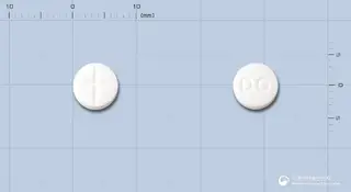 디고신정(디곡신) 사진