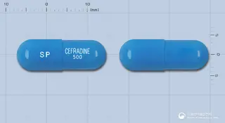 신풍세프라딘캡슐(수출명:CEFADIN Capsules, SHINPOONGCEFADIN Capsule 500mg) 사진