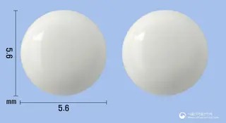 쎄스콘정 사진