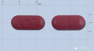 로반트정 사진
