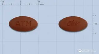 액티몬정 사진