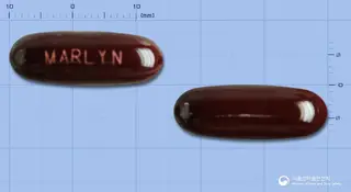 헵포르테 사진