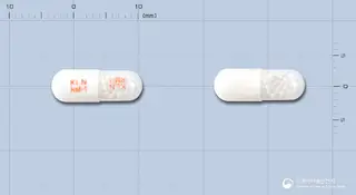 레미코트서방성캡슐1밀리그램(에메다스틴푸마르산염서방성과립) 사진