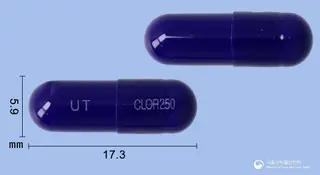뉴포린캡슐250밀리그램(세파클러수화물)(수출명:NewclorCaps.250mg,UniclorCaps.250mg,KupuniclorCaps.250mg) 사진