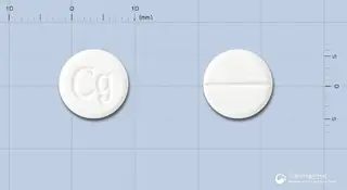 크라겔정 사진