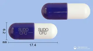 팜젠세파클러캡슐250mg(수출명:수클러캡슐250mg,파시클러캡슐250mg) 사진