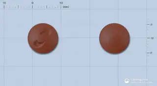 젤로톤정(은행엽엑스)(수출용) 사진