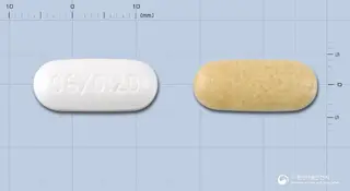 알레그라디정 사진