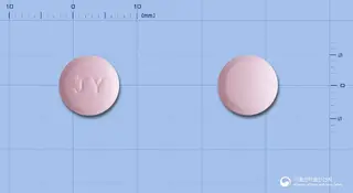 지노플러스정 사진