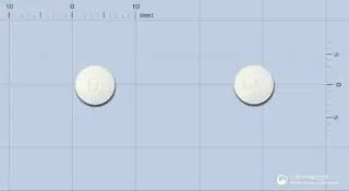 레보피드정(레보설피리드) 사진