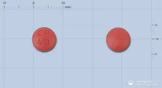 징코미란정40mg(은행엽건조엑스)(수출용) 사진
