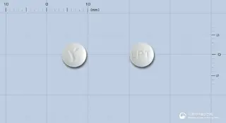 리프론정(레보설피리드) 사진