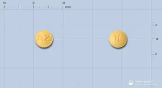 아제스틴정(염산아젤라스틴) 사진