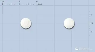 유니온레보설피리드정 사진