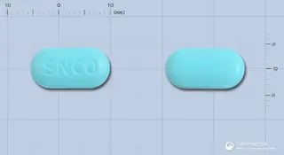 신코정 사진