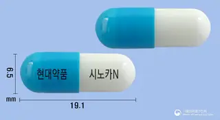 시노카엔캡슐 사진