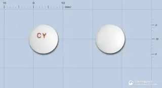 멜라리스정 사진