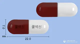쿨넥신캡슐(은교산) 사진