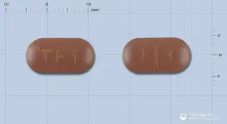 테라400정 사진