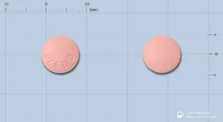 에날듀오정 사진
