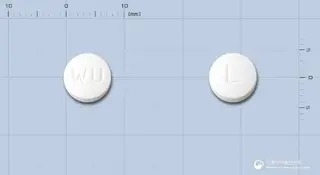 위더스레보플록사신정100밀리그램(레보플록사신수화물) 사진