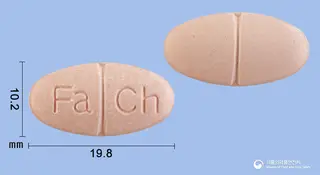 파모콤푸츄정 사진