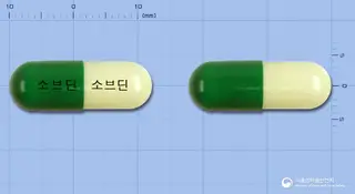 소브딘캡슐(수출용) 사진