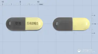 드라코에스캡슐 사진