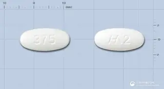 나노크라정375mg[아목시실린,클라불란산칼륨(2:1)] 사진