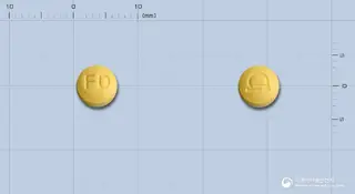 펠로딘지속정2.5mg(펠로디핀) 사진