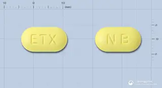 이텍스나부메톤정500mg 사진