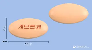 게므론코큐텐정 사진