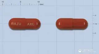 안탁스캡슐(포도엽건조엑스) 사진