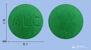 빌로바정120mg(은행엽건조엑스) 사진