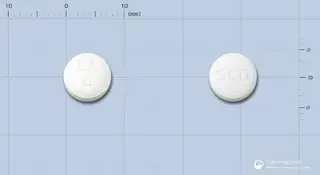 롤캠정(로녹시캄) 사진