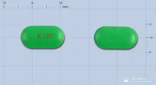은록정120mg(은행엽엑스) 사진