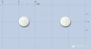 명문레보설피리드정 사진