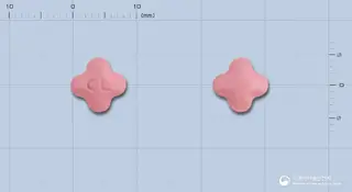 클로미딘정(건조레드클로버엑스) 사진