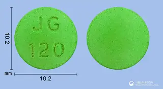 진코라이프정120mg(은행엽건조엑스) 사진