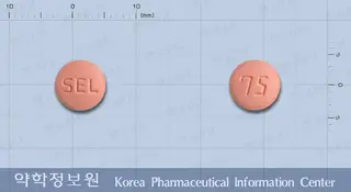 플라벨정(클로피도그렐황산수소염) 사진